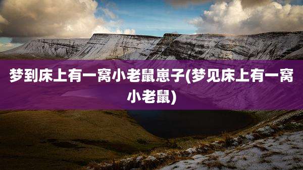 梦到床上有一窝小老鼠崽子(梦见床上有一窝小老鼠)