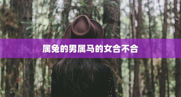 属兔的男属马的女合不合