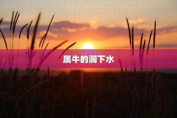 属牛的涧下水