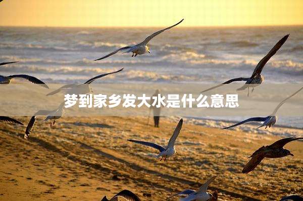 梦到家乡发大水是什么意思