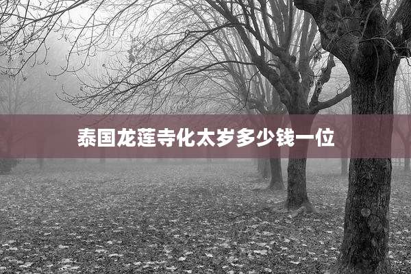 泰国龙莲寺化太岁多少钱一位