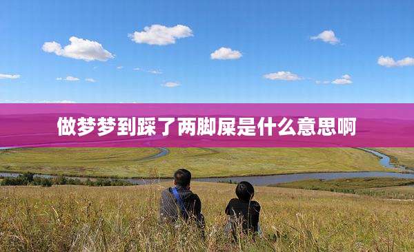做梦梦到踩了两脚屎是什么意思啊