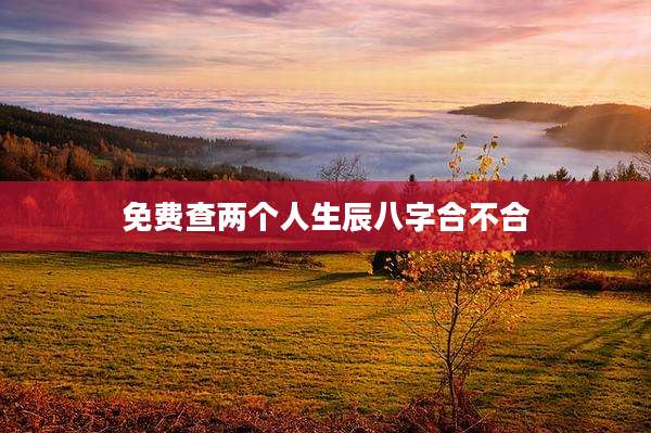 免费查两个人生辰八字合不合