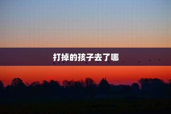 打掉的孩子去了哪
