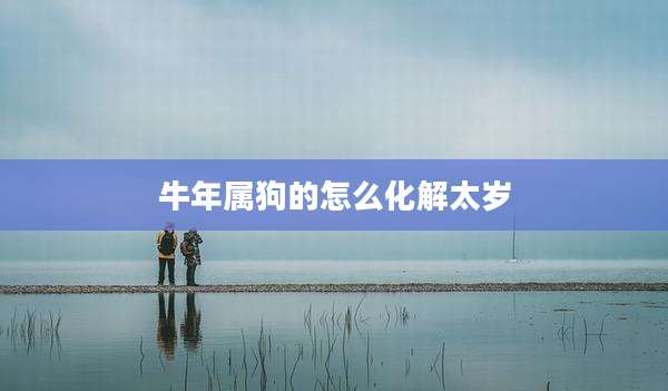 牛年属狗的怎么化解太岁