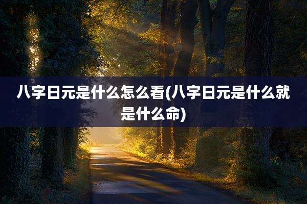 八字日元是什么怎么看(八字日元是什么就是什么命)