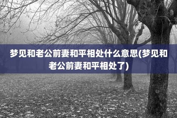 梦见和老公前妻和平相处什么意思(梦见和老公前妻和平相处了)