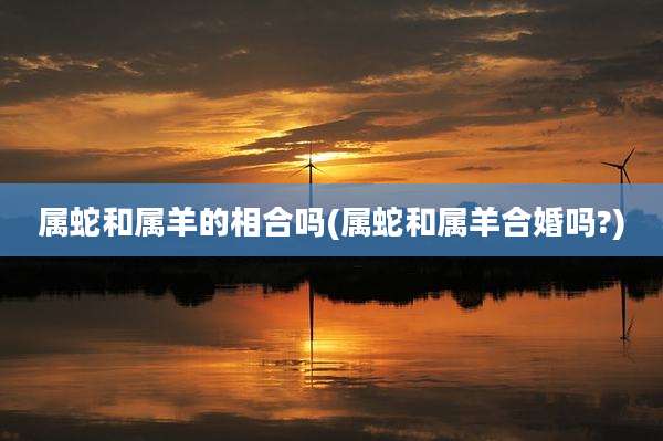 属蛇和属羊的相合吗(属蛇和属羊合婚吗?)