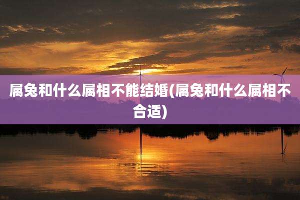 属兔和什么属相不能结婚(属兔和什么属相不合适)