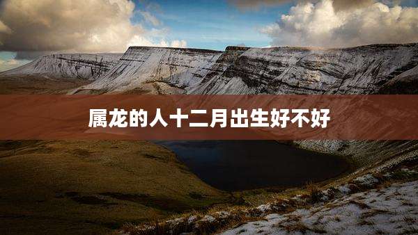 属龙的人十二月出生好不好