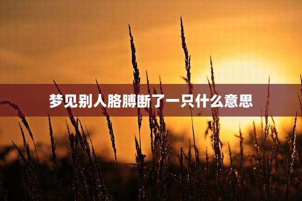 梦见别人胳膊断了一只什么意思