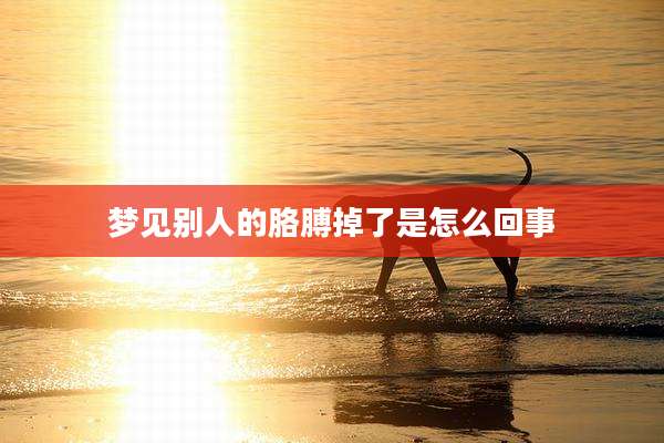 梦见别人的胳膊掉了是怎么回事