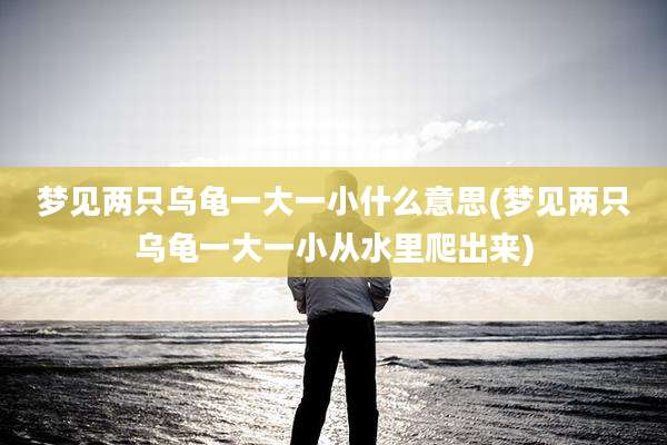 梦见两只乌龟一大一小什么意思(梦见两只乌龟一大一小从水里爬出来)