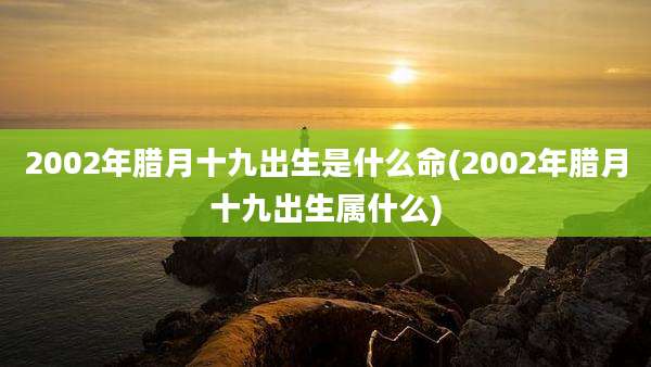 2002年腊月十九出生是什么命(2002年腊月十九出生属什么)