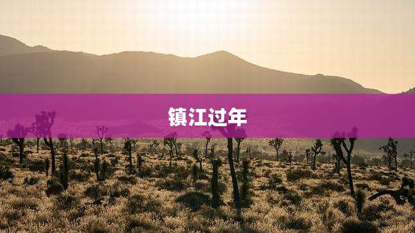 镇江过年