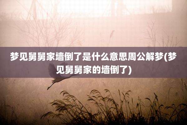 梦见舅舅家墙倒了是什么意思周公解梦(梦见舅舅家的墙倒了)