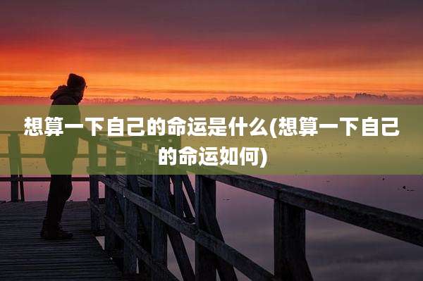 想算一下自己的命运是什么(想算一下自己的命运如何)