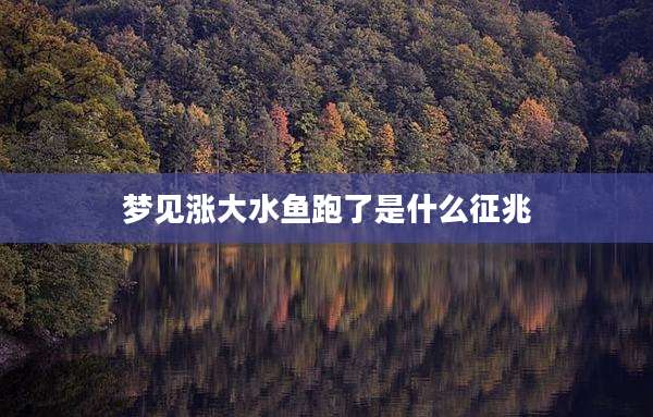 梦见涨大水鱼跑了是什么征兆