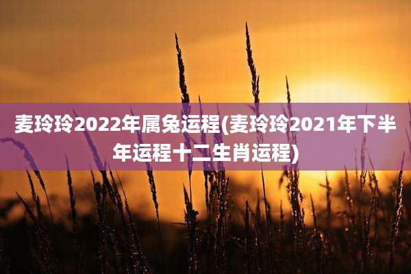 麦玲玲2022年属兔运程(麦玲玲2021年下半年运程十二生肖运程)