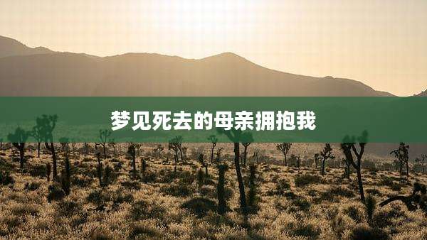梦见死去的母亲拥抱我