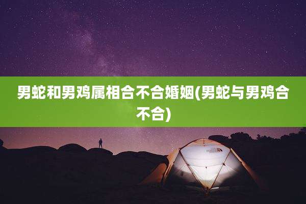 男蛇和男鸡属相合不合婚姻(男蛇与男鸡合不合)