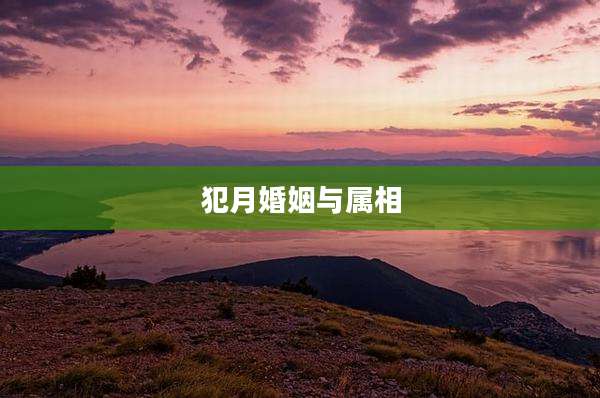 犯月婚姻与属相