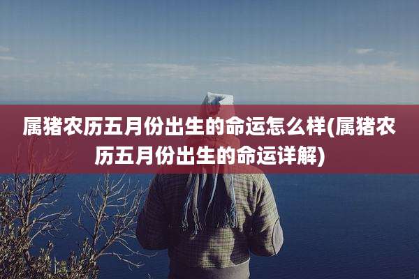 属猪农历五月份出生的命运怎么样(属猪农历五月份出生的命运详解)