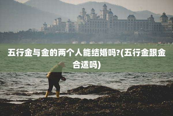 五行金与金的两个人能结婚吗?(五行金跟金合适吗)