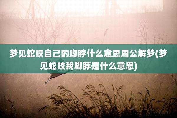 梦见蛇咬自己的脚脖什么意思周公解梦(梦见蛇咬我脚脖是什么意思)