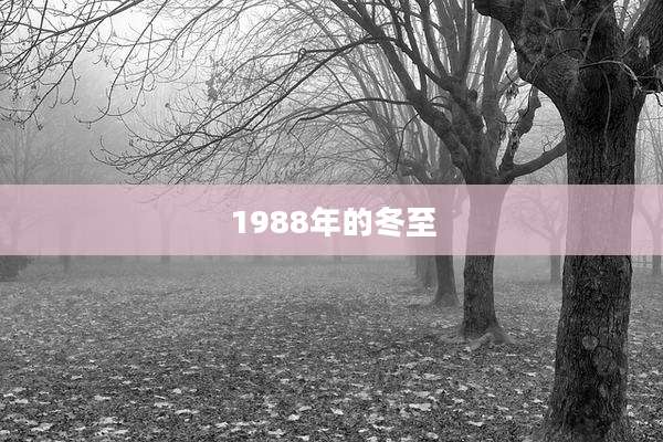 1988年的冬至