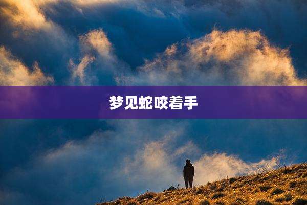 梦见蛇咬着手