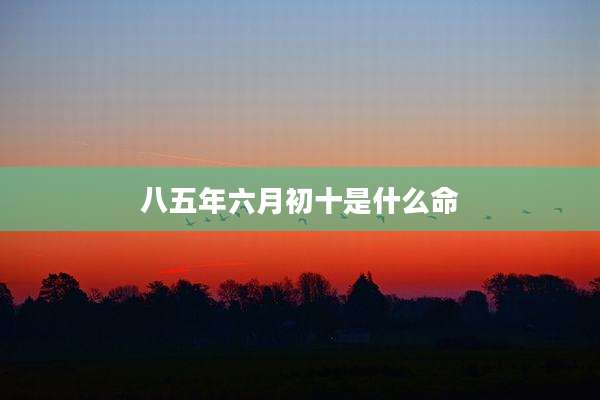 八五年六月初十是什么命