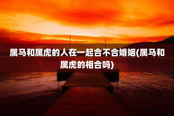 属马和属虎的人在一起合不合婚姻(属马和属虎的相合吗)
