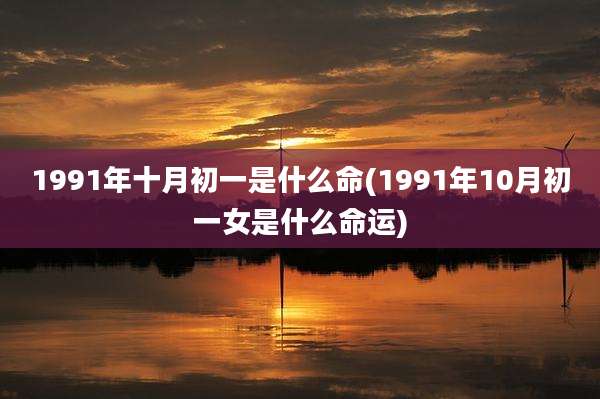 1991年十月初一是什么命(1991年10月初一女是什么命运)