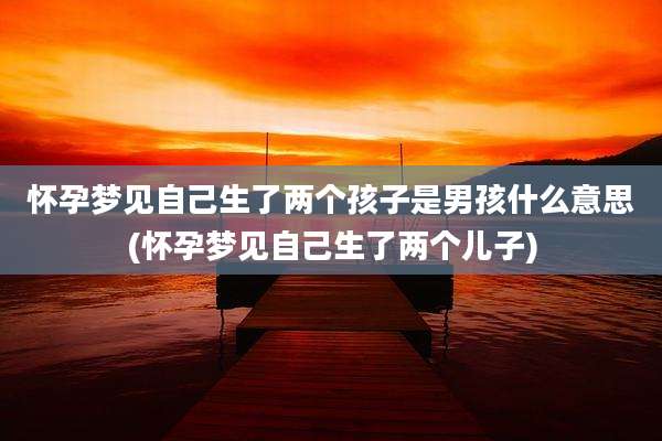 怀孕梦见自己生了两个孩子是男孩什么意思(怀孕梦见自己生了两个儿子)