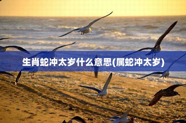 生肖蛇冲太岁什么意思(属蛇冲太岁)