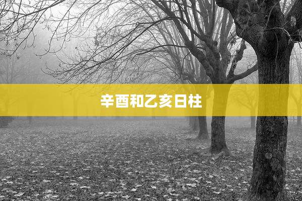 辛酉和乙亥日柱