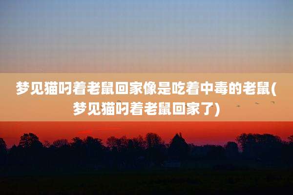 梦见猫叼着老鼠回家像是吃着中毒的老鼠(梦见猫叼着老鼠回家了)