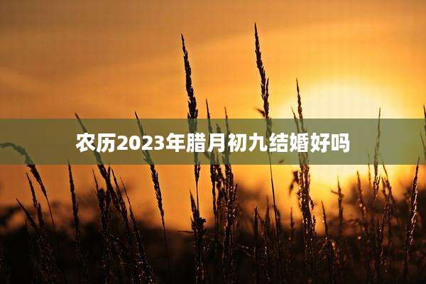 农历2023年腊月初九结婚好吗