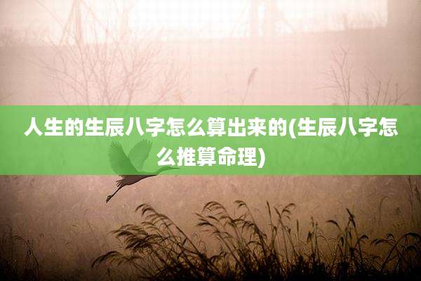 人生的生辰八字怎么算出来的(生辰八字怎么推算命理)