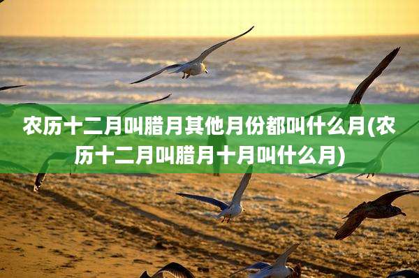 农历十二月叫腊月其他月份都叫什么月(农历十二月叫腊月十月叫什么月)