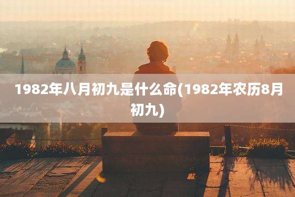 1982年八月初九是什么命(1982年农历8月初九)