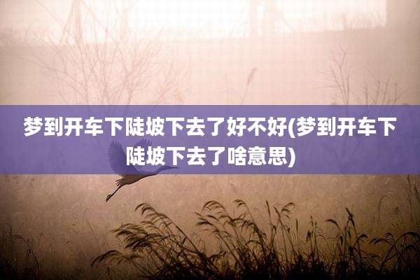 梦到开车下陡坡下去了好不好(梦到开车下陡坡下去了啥意思)