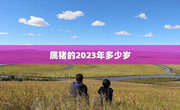 属猪的2023年多少岁