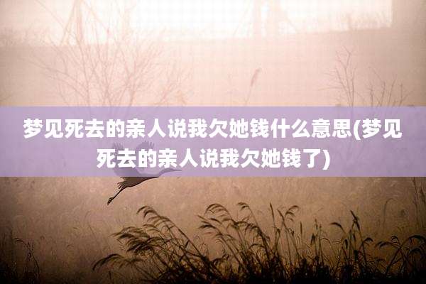 梦见死去的亲人说我欠她钱什么意思(梦见死去的亲人说我欠她钱了)
