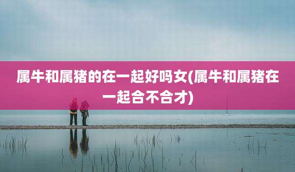 属牛和属猪的在一起好吗女(属牛和属猪在一起合不合才)