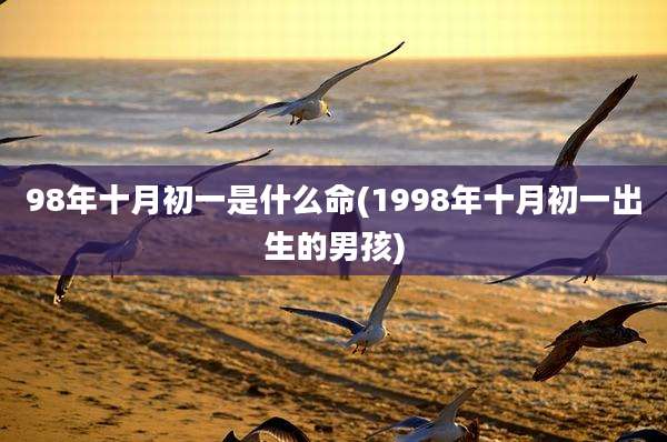 98年十月初一是什么命(1998年十月初一出生的男孩)