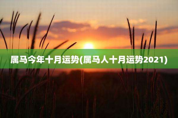 属马今年十月运势(属马人十月运势2021)