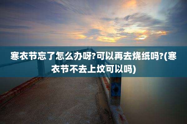 寒衣节忘了怎么办呀?可以再去烧纸吗?(寒衣节不去上坟可以吗)