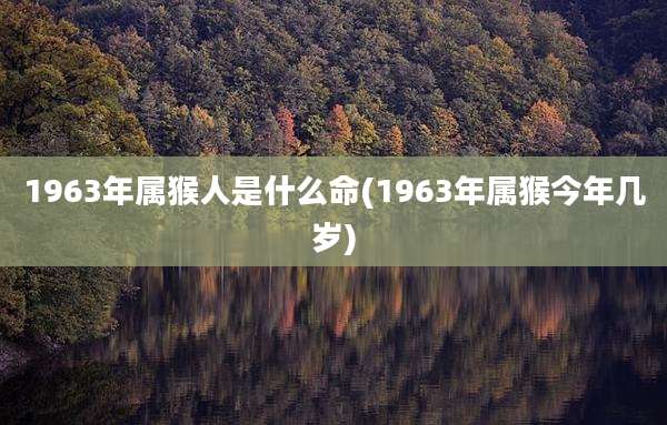 1963年属猴人是什么命(1963年属猴今年几岁)